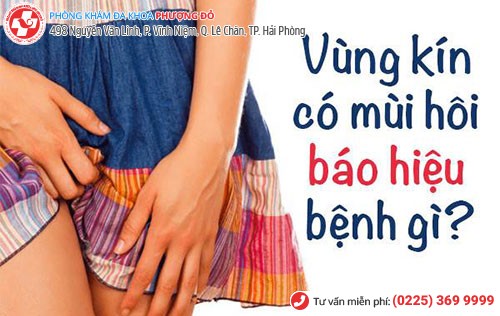 Vùng kín nữ có mùi hôi do nhiều nguyên nhân gây nên