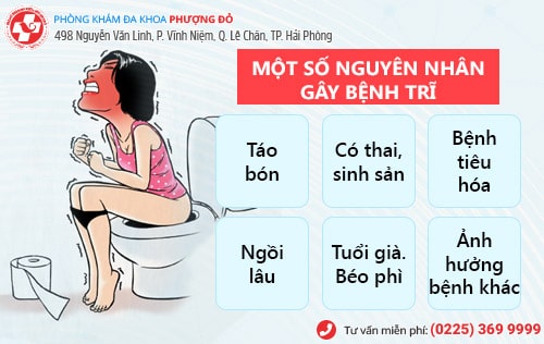 nguyên nhân gây bệnh trĩ