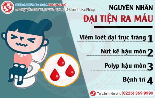 Nguyên nhân đại tiện ra máu