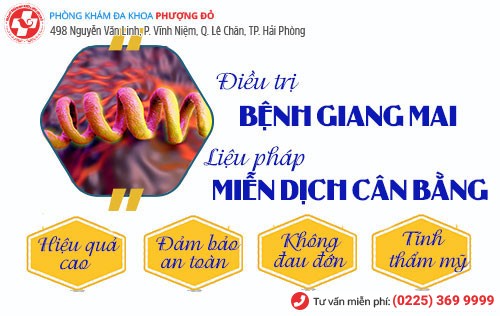 Miễn dịch cân bằng là phương pháp chữa bệnh giang mai tiên tiến nhất