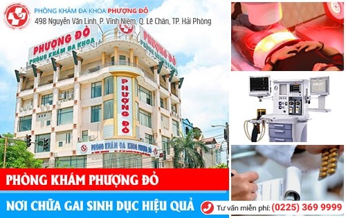 Hình ảnh gai sinh dục