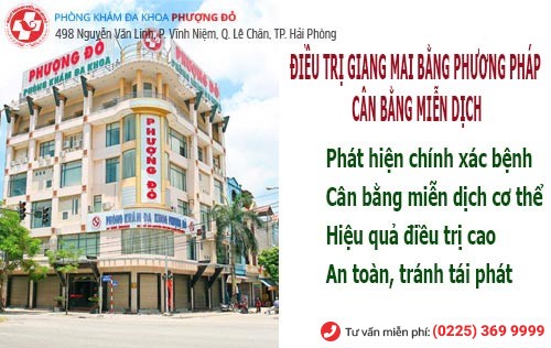 Phượng Đỏ - địa chỉ chữa bệnh giang mai uy tín ở Hải Phòng