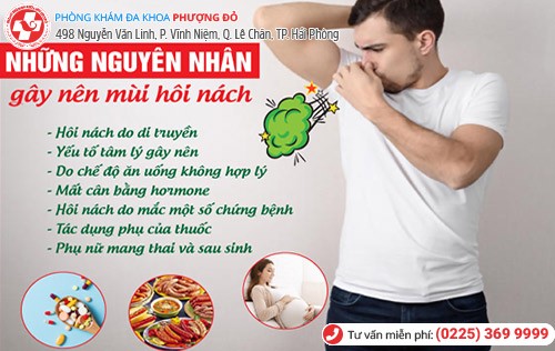 nguyên nhân hôi nách