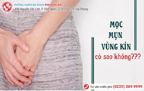 mọc mụn vùng kín