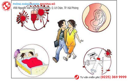 Bệnh mồng gà lây nhiễm qua nhiều con đường