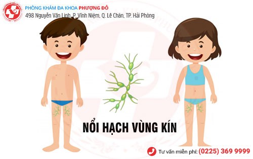 Nổi hạch vùng kín