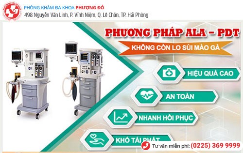 Rất nhiều trường hợp bị sùi mào gà khỏi nhờ phương pháp ALA-PDT