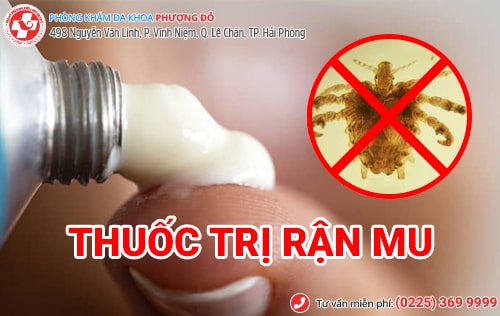 Thuốc trị rận mu loại nào tốt và hiệu quả nhất?