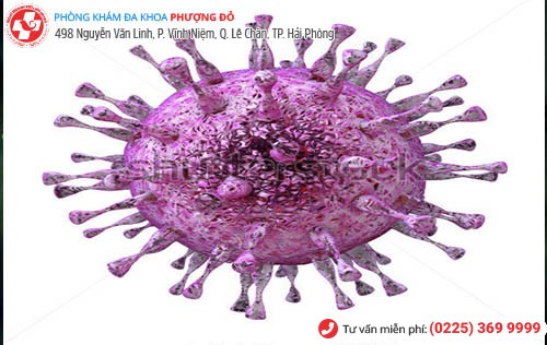 virus gây bệnh mụn rộp sinh dục